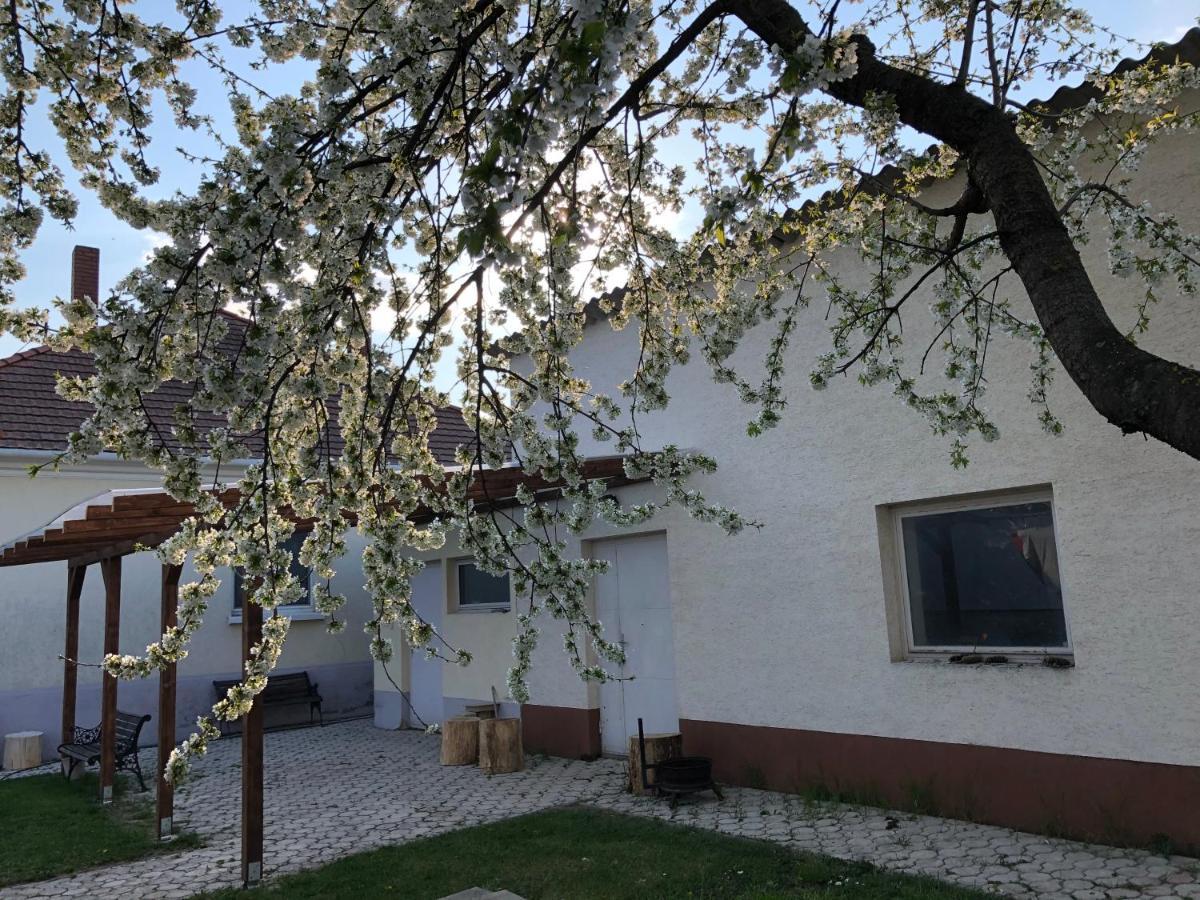 Elvira Vendégház Kisbodak Exterior foto